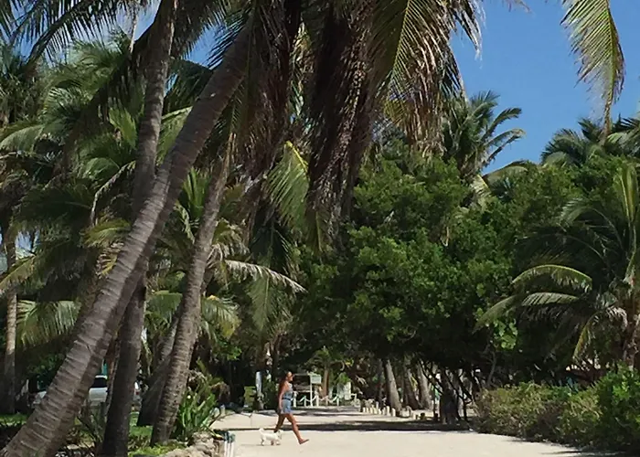 Hotel Caye Casa San Pedro (Ambergris Caye)